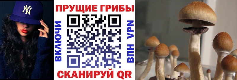 Галлюциногенные грибы MAGIC MUSHROOMS Купить Красноармейск